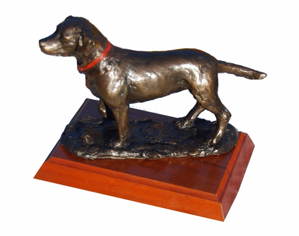 Labrador Walking Girl in Red Collar on a Trophy Pl