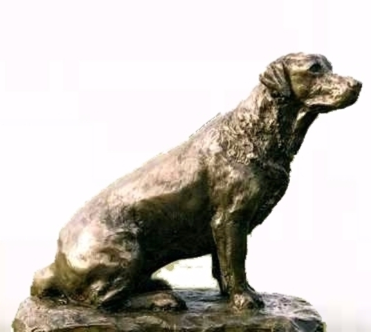 Labrador Will Power