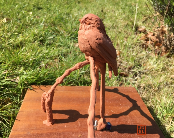Long Tailed Tit clay  stage by JOEL