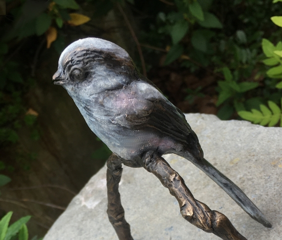 Long Tailed Tit Coloured Single