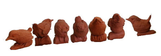 Magnificent Seven Wren Babies Design Details