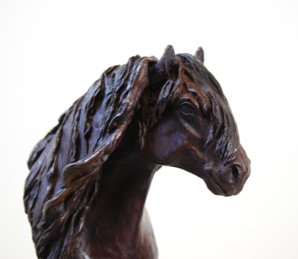 Mane detail Highland Legend by Sculptress JOEL