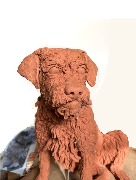 Millie dog clay  hair and face