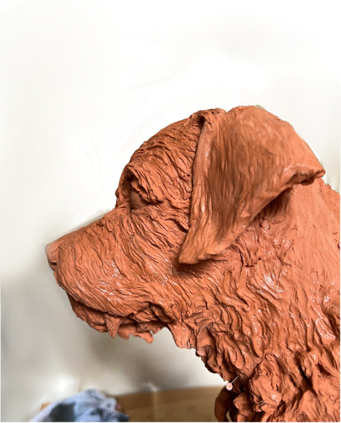Millie dog clay  hair and face profile