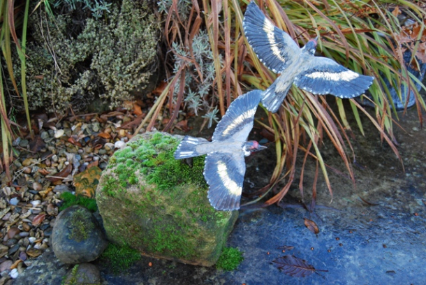 Mossy Top Bright Goldfinch Bronze by JOEL