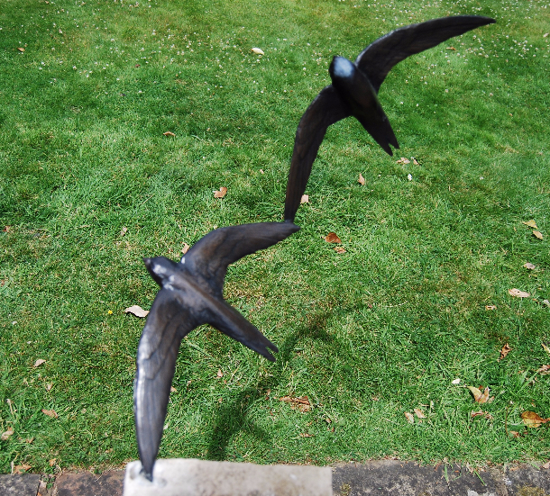 Pair of Bronze Swifts and their shadows by JOEL