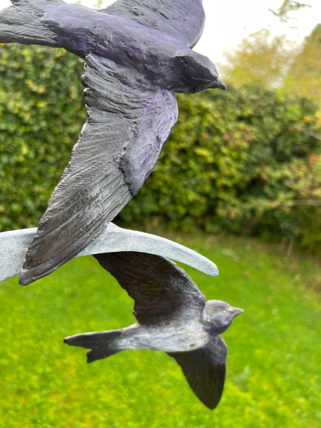 Purple Martin bird close up by Sculptress Joel