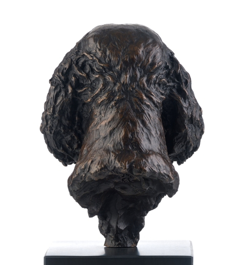 Rear view of Spaniel portrait by JOEL