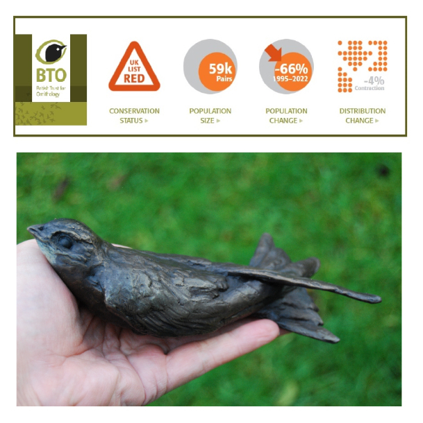 Red Warnings & Swift Bronze in the Artists Hand