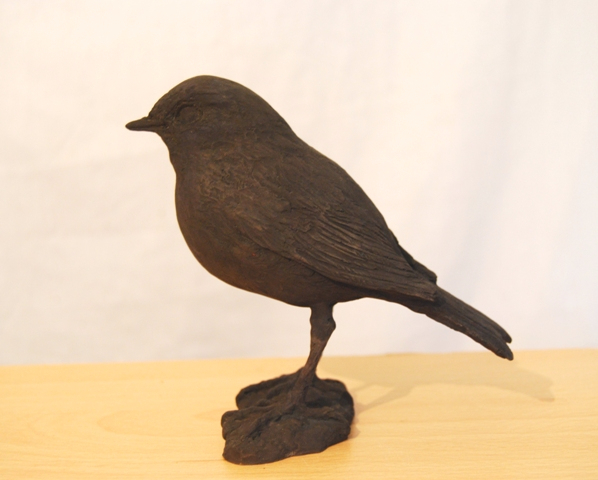 Robin Bronze base colour by JOEL