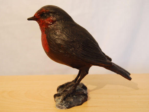 Robin Bronze colour by JOEL