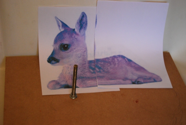 Roe Deer Fawn Lying Down - Sculpture by JOEL - 