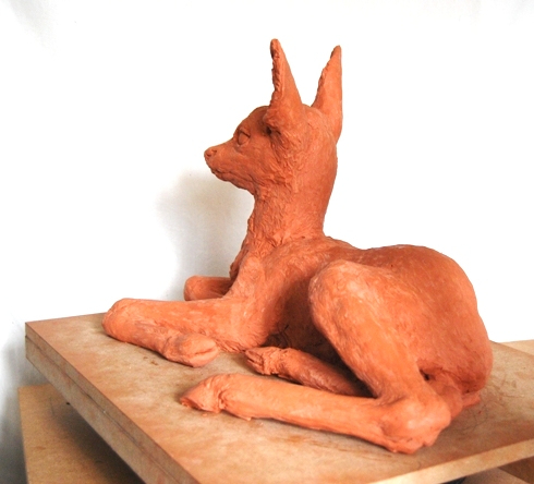 Roe Deer Fawn Peace view of back legs