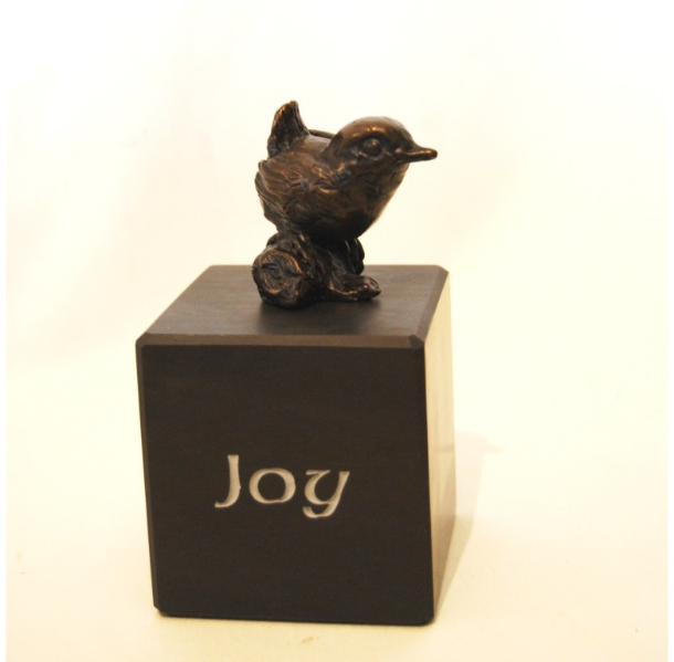 Safe Home Joy by JOEL