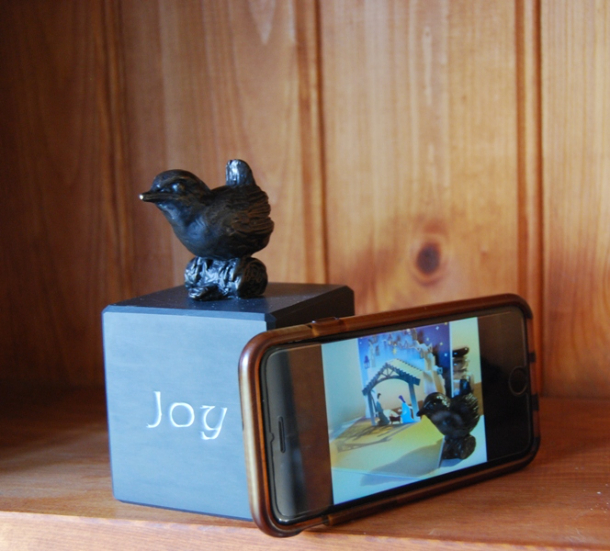 Safe Home Joy by JOEL find the phone!