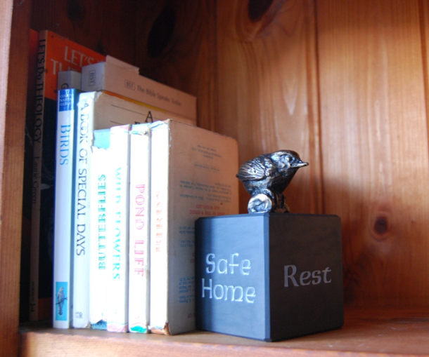 Safe Home Rest by JOEL bookshelf