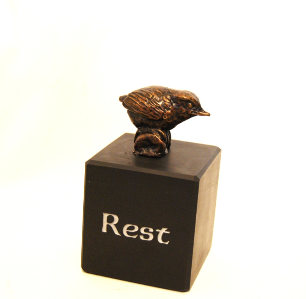 Safe Home Rest by JOEL