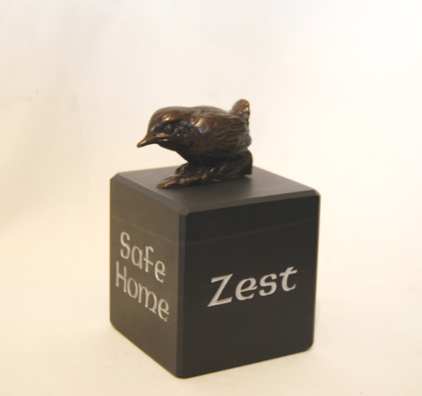 Safe Home Zest by JOEL