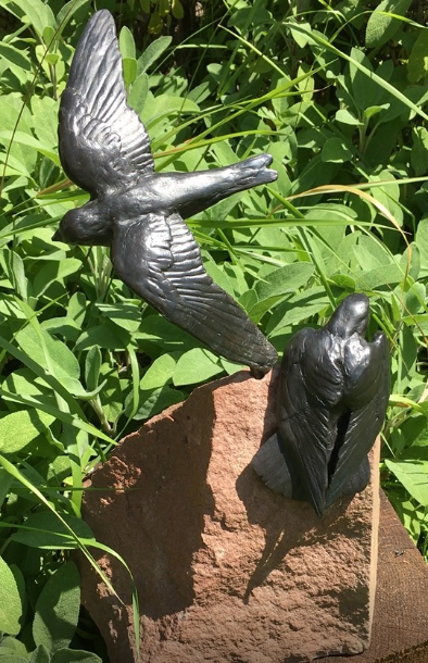 Sand Martin Home Peace