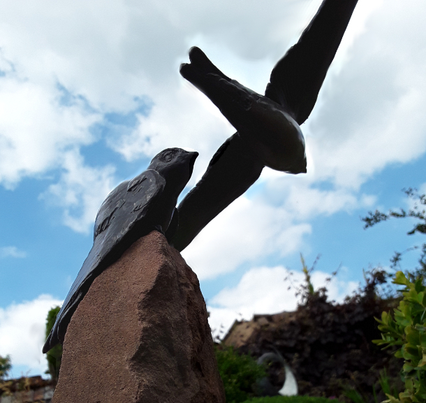 Sand Martin Home Peace