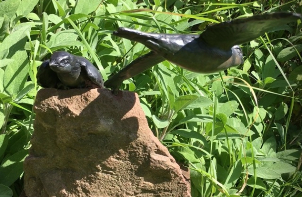 Sand Martin Pair Together  Bronzes by JOEL