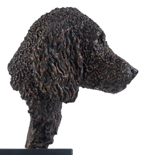 Sandard Poodle Portrait Head Sculpture by JOEL
