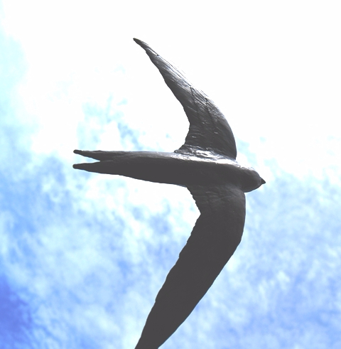 Single Swift Bronze Sculpture