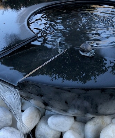 Snail on FORAS water Feature