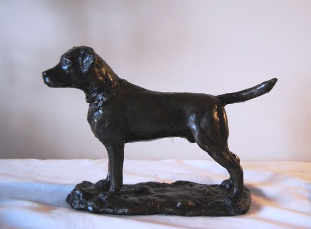 Standing Proud Labrador in Bronze  by JOEL