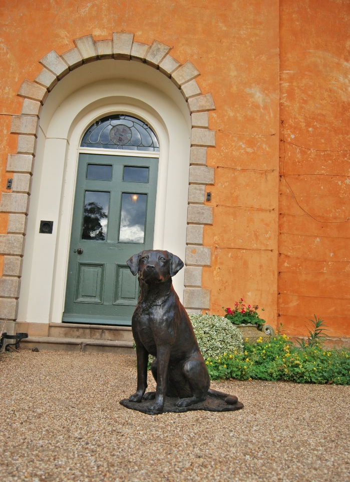 Statue of Labrador dog by Sculptress JOEL at Hall