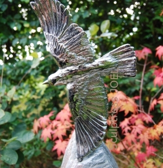Steel Goldfinch and Acer
