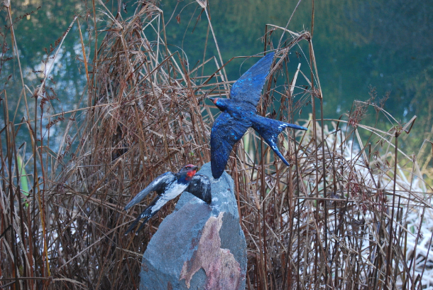 Swallow Pair in the Frosty Grass