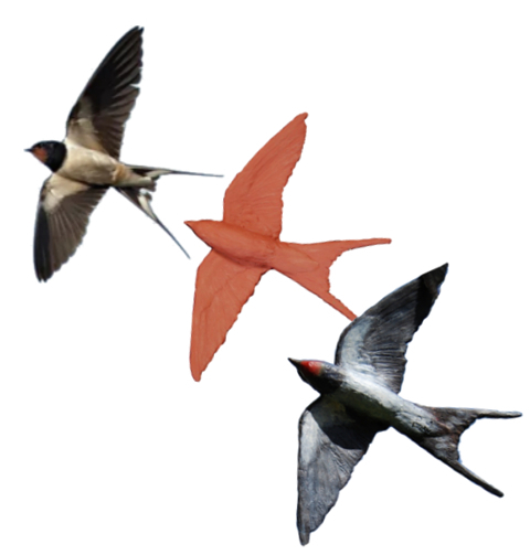 Swallow sculpture from clay to Bronze