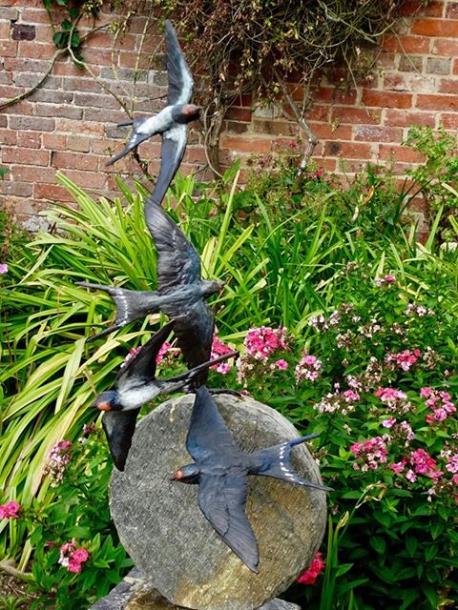 Swallow Spectacular Joy by JOEL in garden 