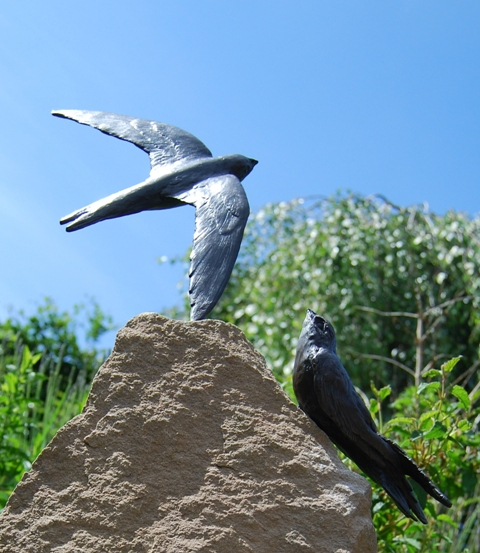 Swift Adult against the sky & Young Bronze by JOEL
