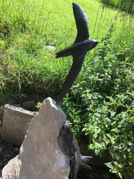 Swift Adult & Young Bronzes by JOEL