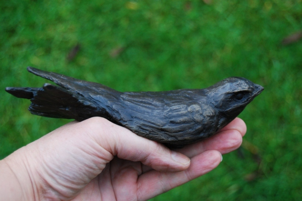 Swift bronze side view in hand