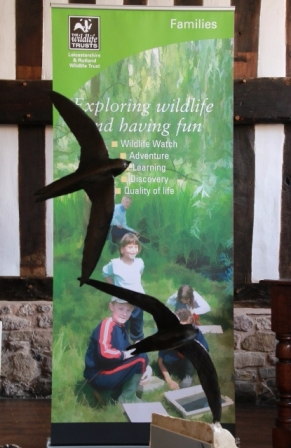 Swift Bronzes support conservation