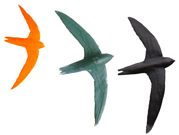 Swift clay, wax to Bronze by JOEL