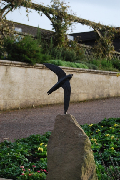 Swift Flight set in the Garden-scape