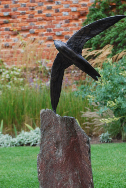 Swift Flight set on Cumberland Slate in Garden 