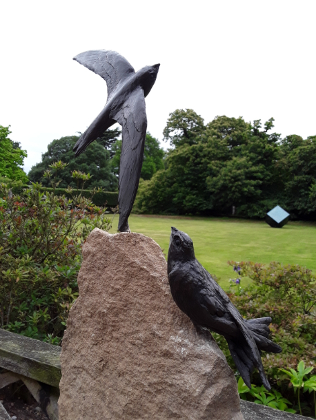 Swift Home