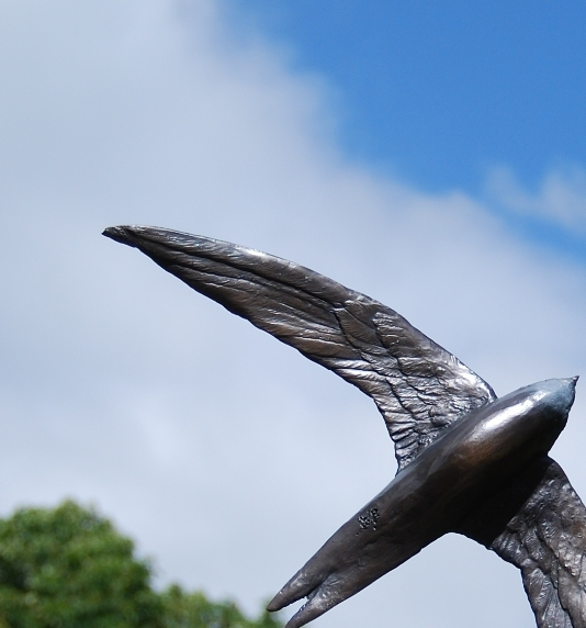 Swift Wing detail by JOEL