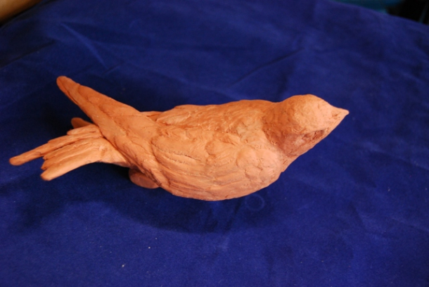 Swift young, a sculpture in clay