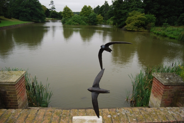 Swifts First & Last by JOEL