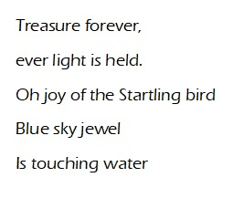 The Startling Bird Quotation