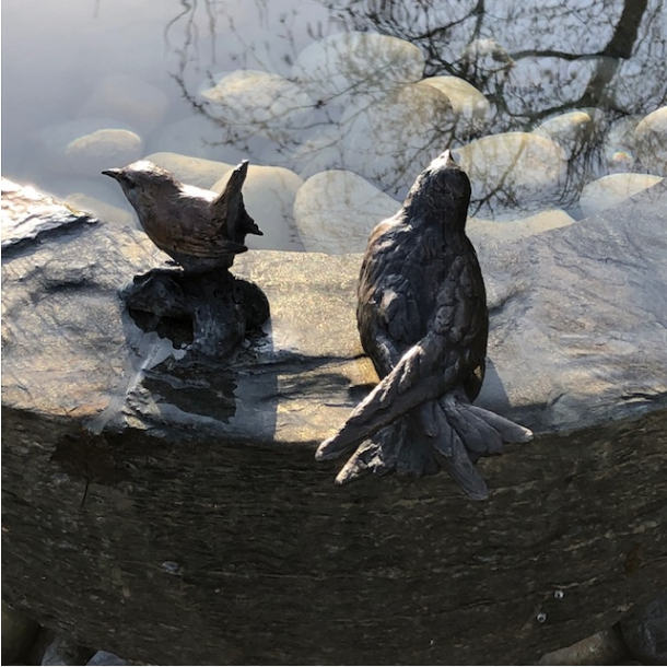 Wren and Young Swift in Bronze on Stone