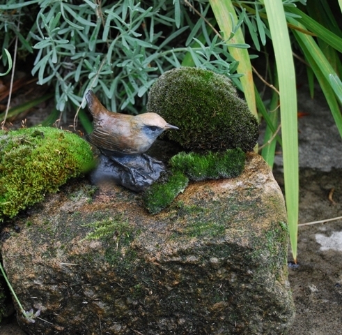 Wren Bronze on Mossy Top