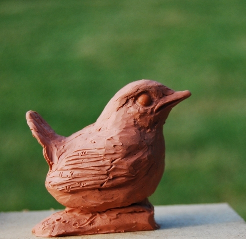 Wren chick by JOEL