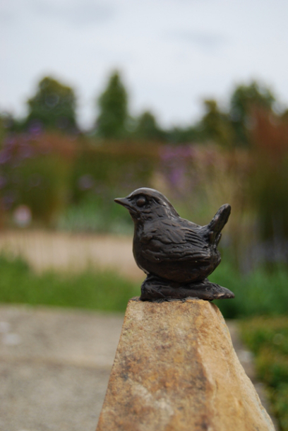 Wren Chick FAIR  set on rock by JOEL